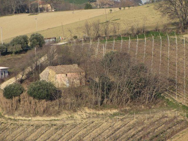 114 - CASA INDIPENDENTE VENDITA POLVERIGI ZONA RUSTICO - € 85.000