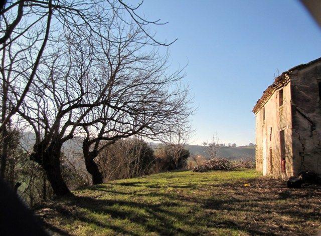 114 - CASA INDIPENDENTE VENDITA POLVERIGI ZONA RUSTICO - € 85.000 4