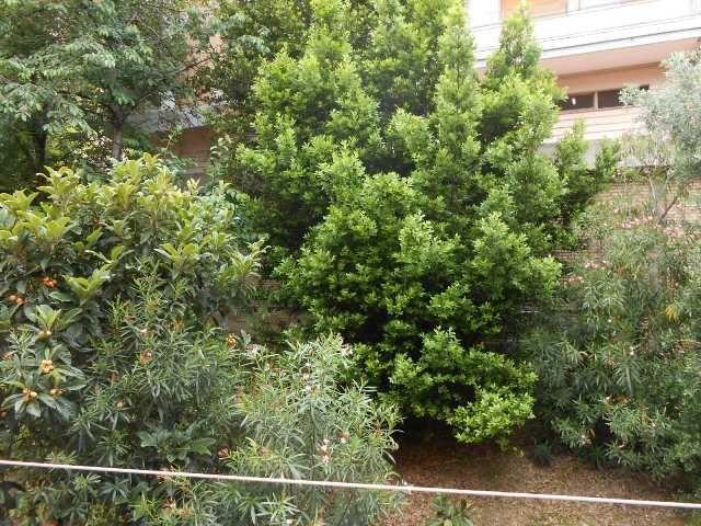 3423 - APPARTAMENTO VENDITA ANCONA ZONA GALLERIA RISORGIMENTO - € 160.000 36