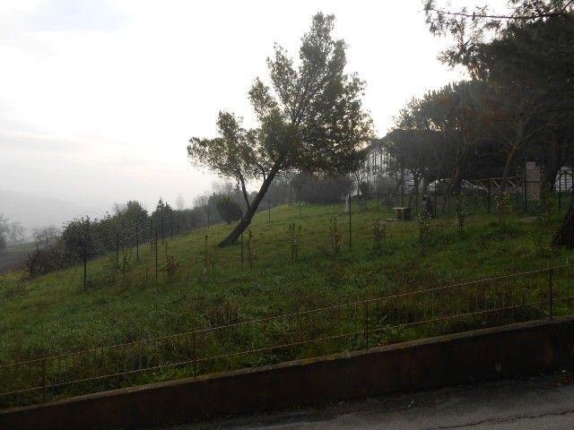 3528 - APPARTAMENTO VENDITA ANCONA ZONA GRAZIE - € 180.000 25