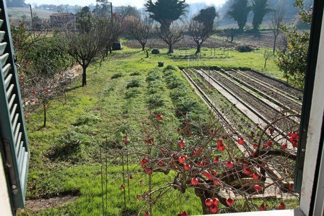 3852 - CASA VENDITA ANCONA ZONA ANGELI DI VARANO - € 420.000 18