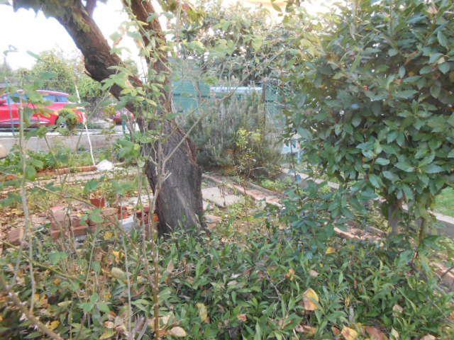 3990 - APPARTAMENTO VENDITA ANCONA ZONA PIANO - € 170.000 41