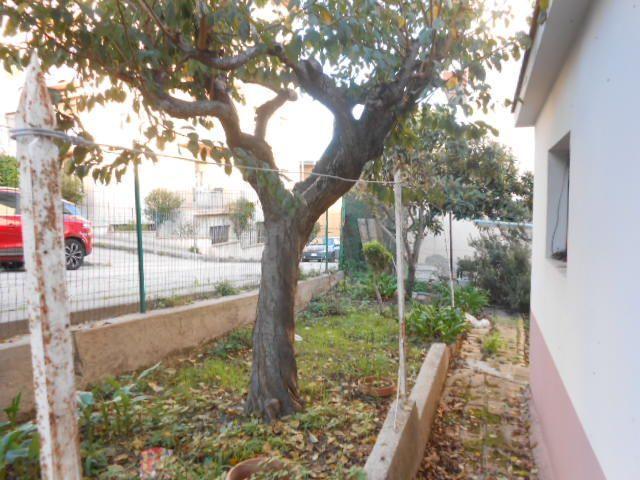 3990 - APPARTAMENTO VENDITA ANCONA ZONA PIANO - € 170.000 42