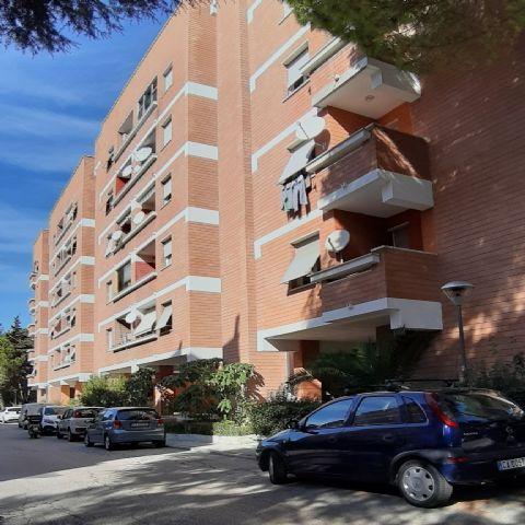 3998 - APPARTAMENTO VENDITA ANCONA ZONA GRAZIE - € 130.000 14
