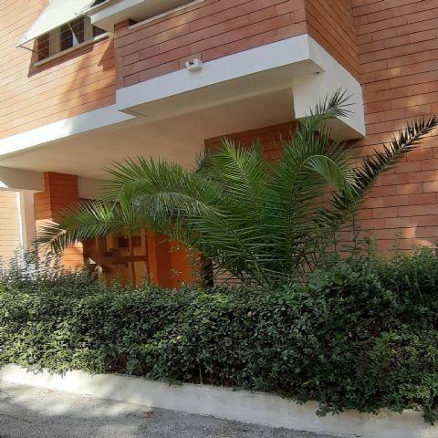 3998 - APPARTAMENTO VENDITA ANCONA ZONA GRAZIE - € 130.000 15