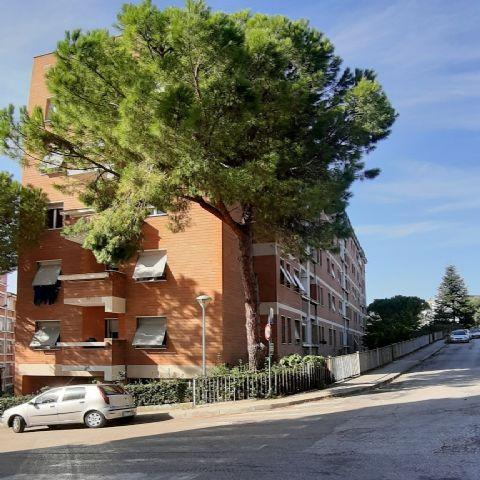 3998 - APPARTAMENTO VENDITA ANCONA ZONA GRAZIE - € 130.000 16