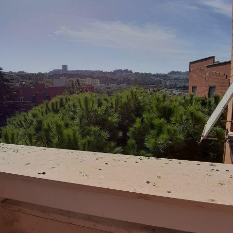 3998 - APPARTAMENTO VENDITA ANCONA ZONA GRAZIE - € 130.000 9