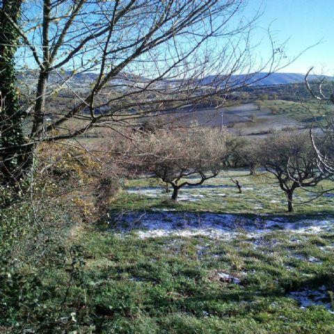 4060 - CASA ABBINATA VENDITA MACERATA ZONA CENTRO - € 39.000 8