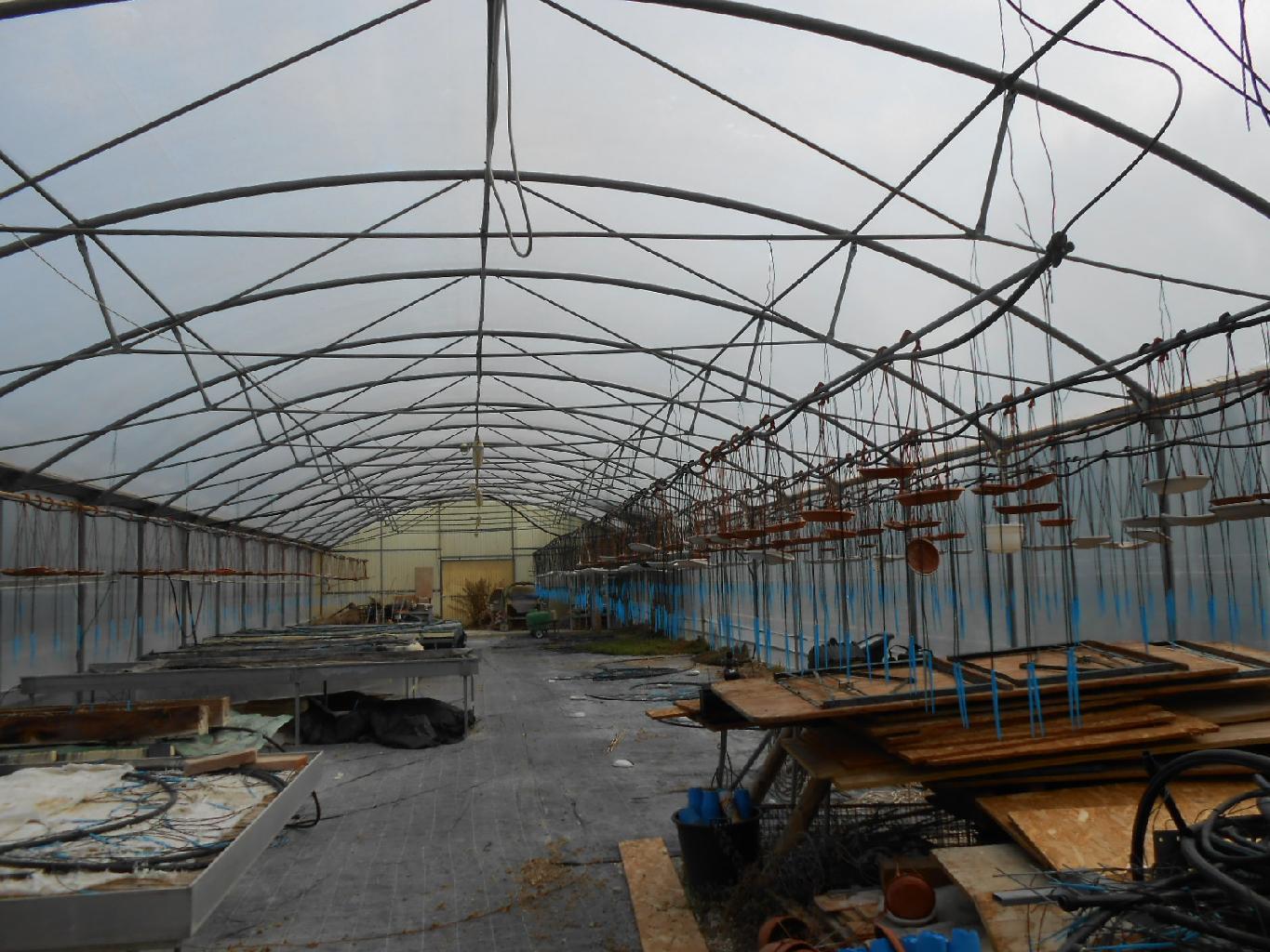 4220 - ATTIVITA VENDITA AGUGLIANO ZONA CASINE DI PATERNO - € 120.000 10