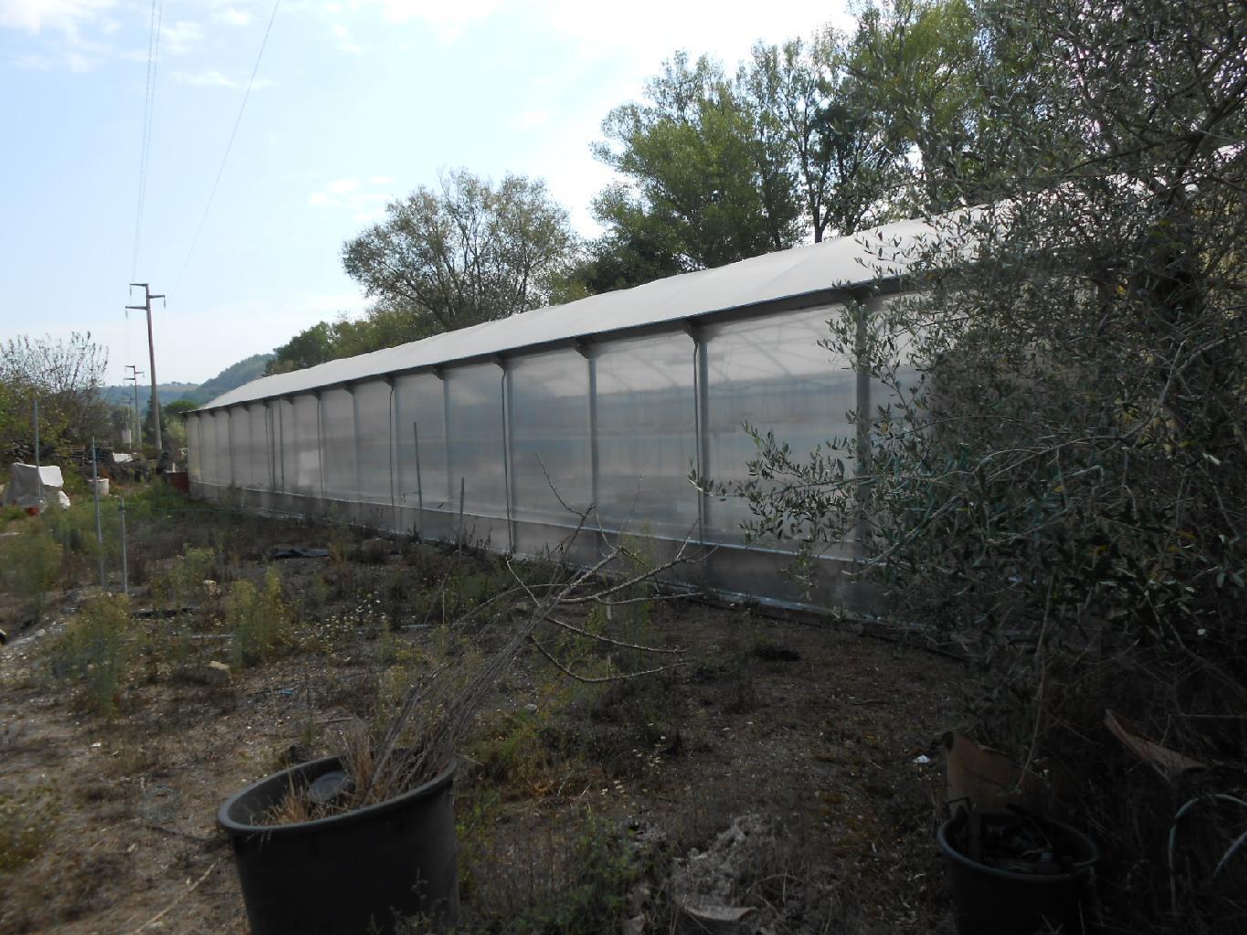 4220 - ATTIVITA VENDITA AGUGLIANO ZONA CASINE DI PATERNO - € 120.000 12