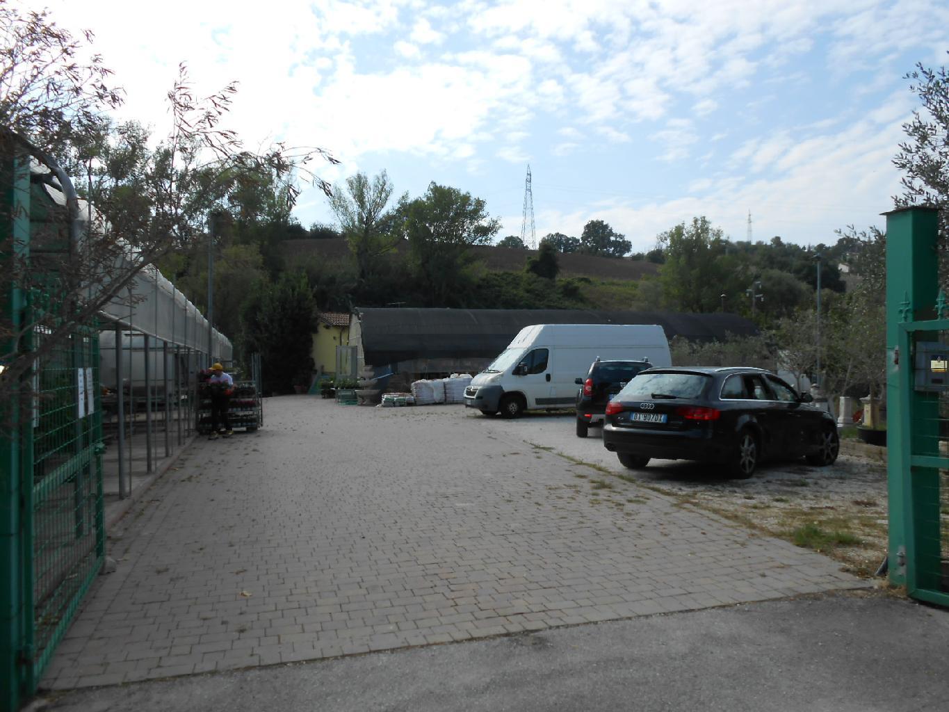 4220 - ATTIVITA VENDITA AGUGLIANO ZONA CASINE DI PATERNO - € 120.000 13