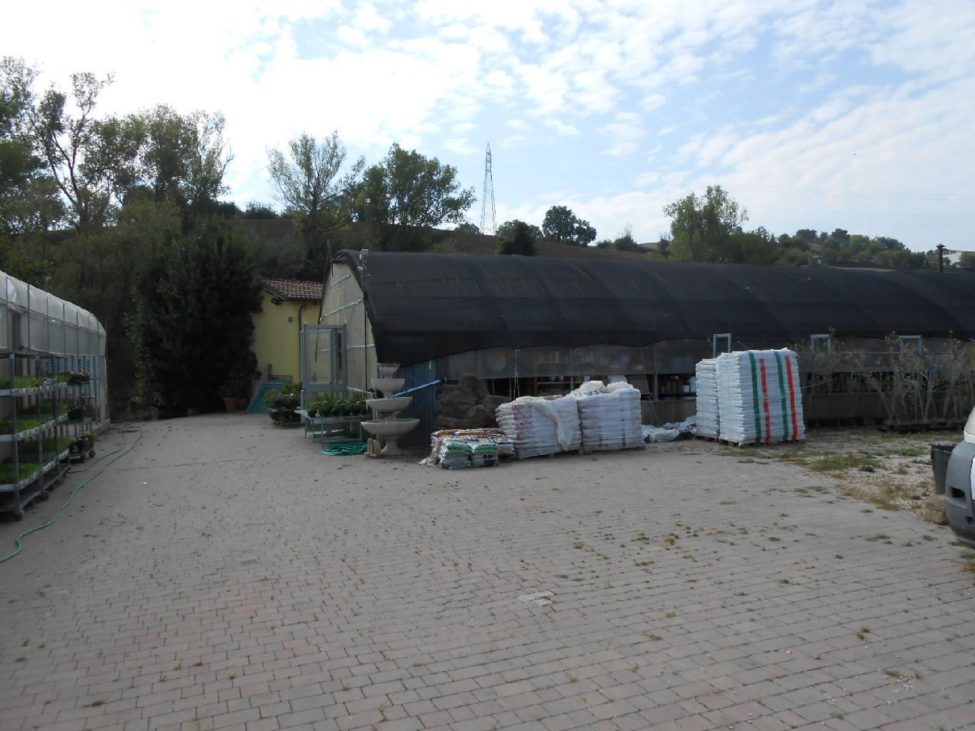 4220 - ATTIVITA VENDITA AGUGLIANO ZONA CASINE DI PATERNO - € 120.000 4