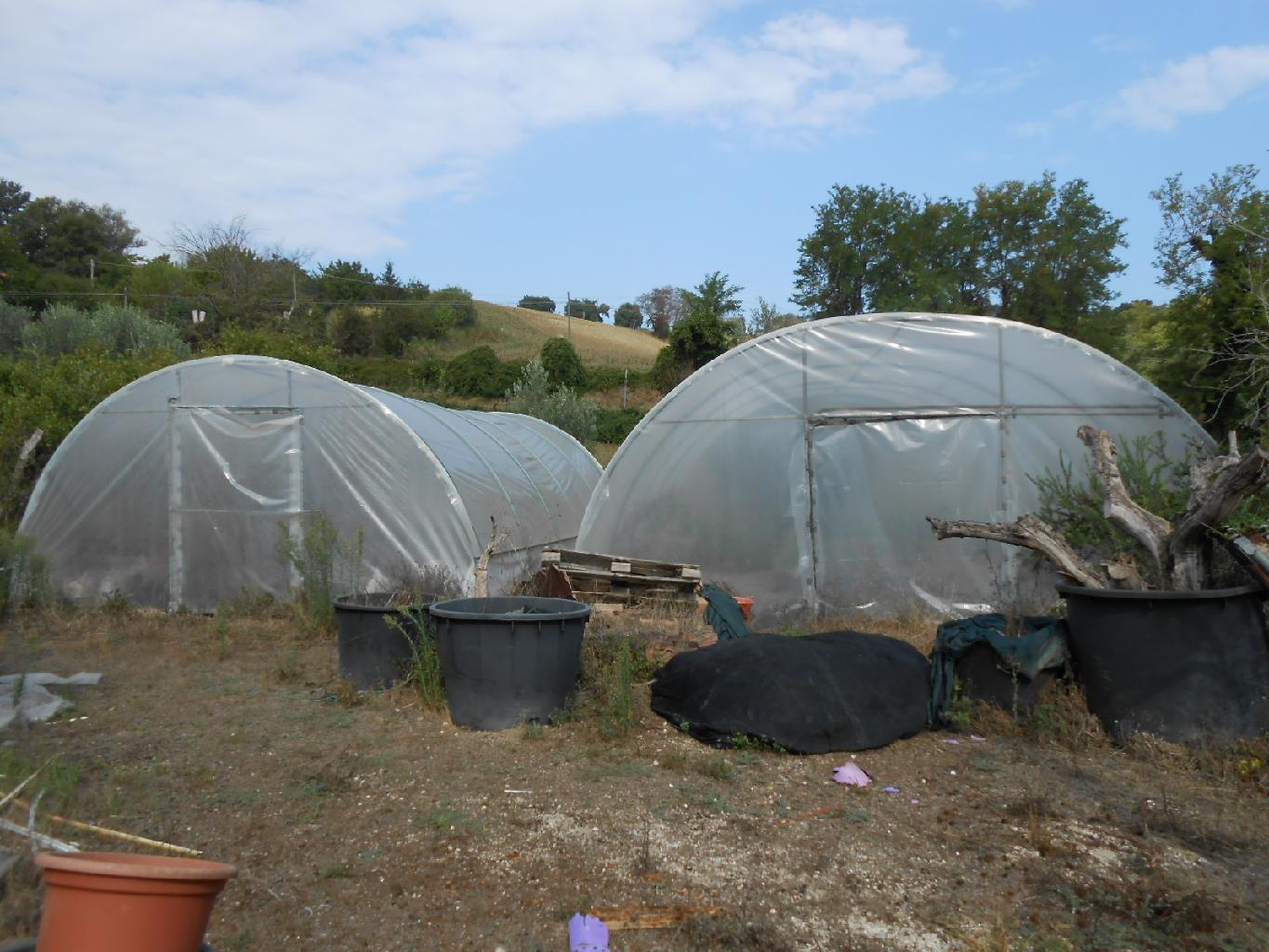 4220 - ATTIVITA VENDITA AGUGLIANO ZONA CASINE DI PATERNO - € 120.000 6