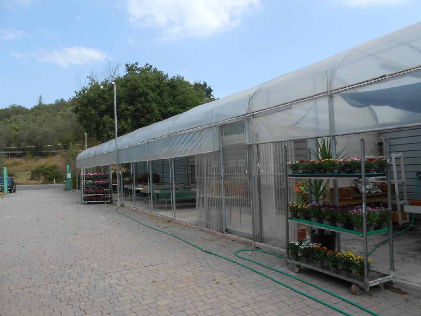 <span class='testorotoimmob'>4234 - TERRENO AGRICOLO - VENDITA - ANCONA</span>