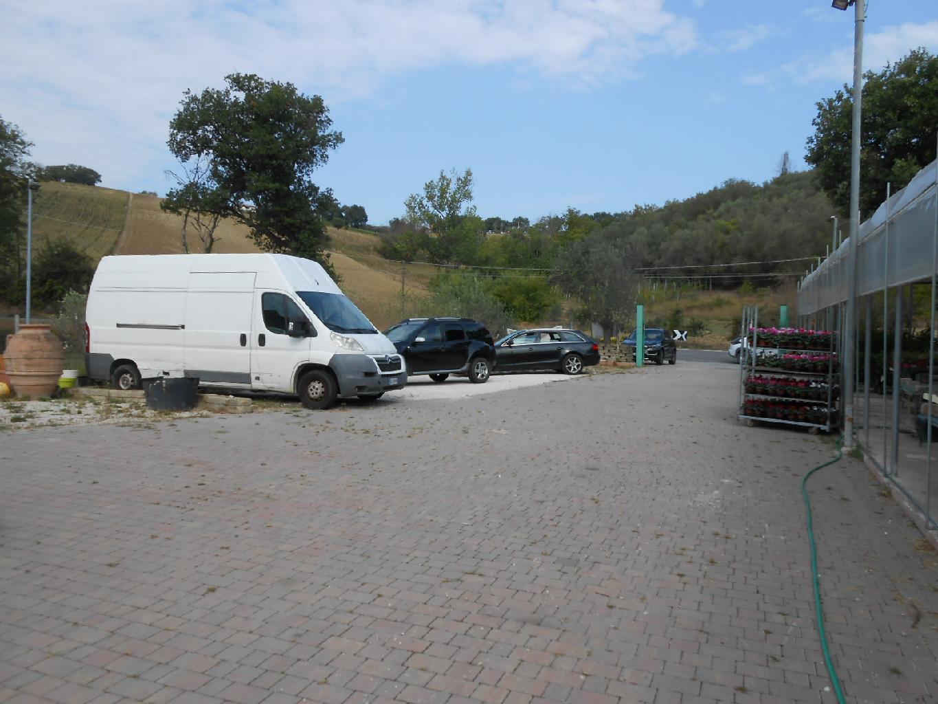 4234 - TERRENO AGRICOLO VENDITA ANCONA ZONA CASINE DI PATERNO - € 85.000 2