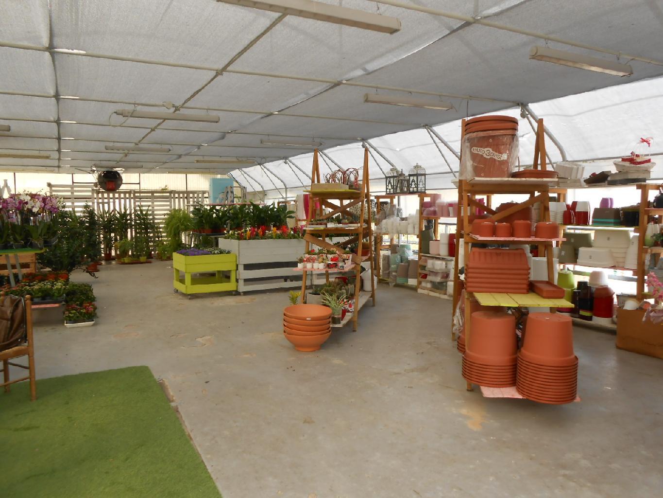 4234 - TERRENO AGRICOLO VENDITA ANCONA ZONA CASINE DI PATERNO - € 85.000 3