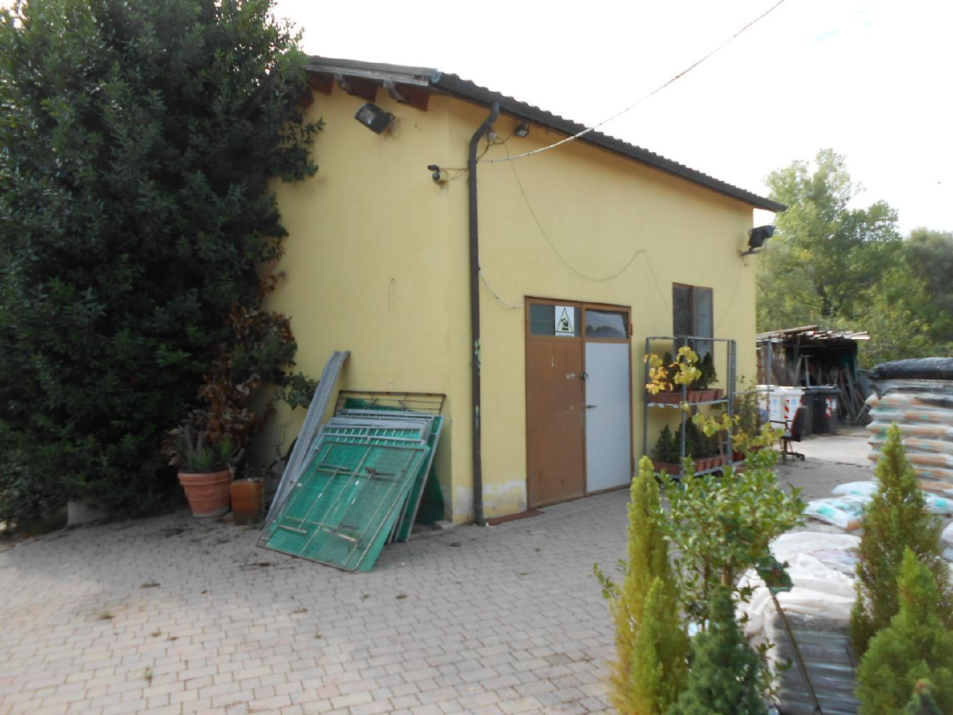 4234 - TERRENO AGRICOLO VENDITA ANCONA ZONA CASINE DI PATERNO - € 85.000 4