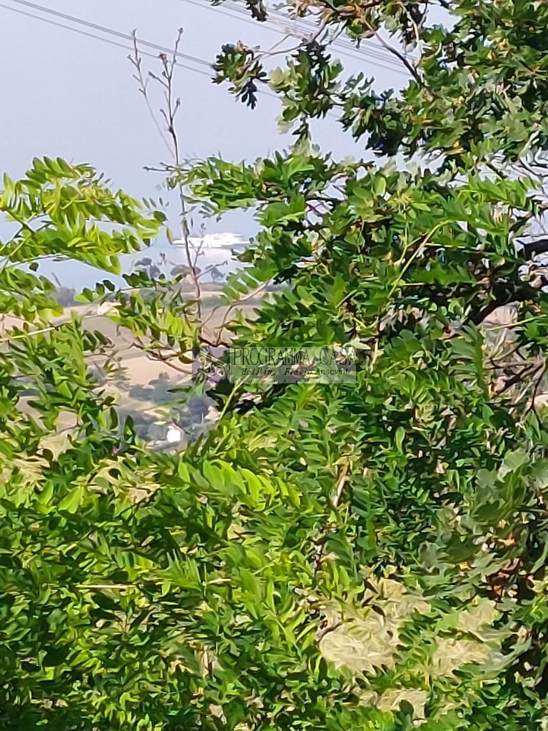 4257 - CASA INDIPENDENTE VENDITA ANCONA ZONA PATERNO - € 350.000 35