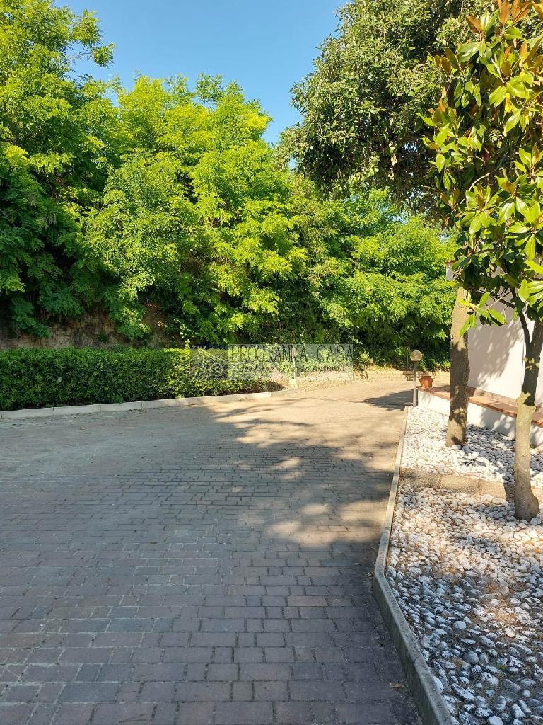 4257 - CASA INDIPENDENTE VENDITA ANCONA ZONA PATERNO - € 350.000 5