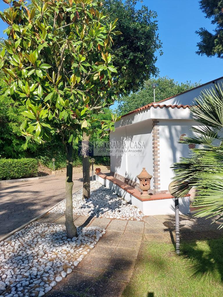 4257 - CASA INDIPENDENTE VENDITA ANCONA ZONA PATERNO - € 350.000 6